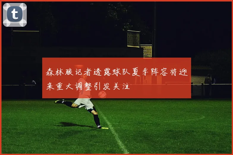 森林狼记者透露球队夏季阵容将迎来重大调整引发关注